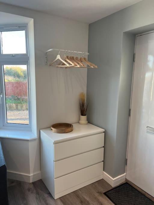Abbotsbury 1 Bed Studio Opposite Uwe Free Parking Bristol Eksteriør bilde