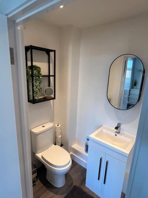 Abbotsbury 1 Bed Studio Opposite Uwe Free Parking Bristol Eksteriør bilde